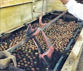 Nickel strip tank strips parts down to the Copper